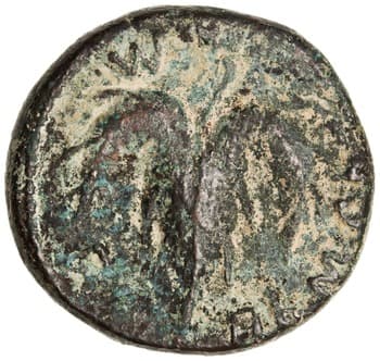 Bronze Coin of Simon bar Kokhba, Jerusalem, 133–134