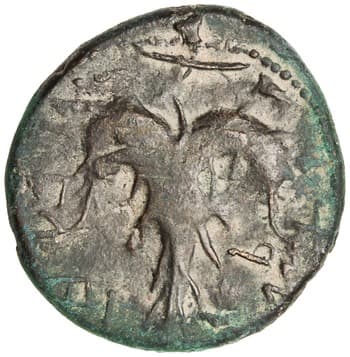 Bronze Coin of Simon bar Kokhba, Jerusalem, 133–134